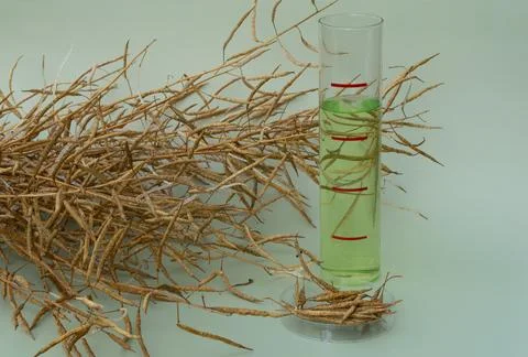 Biodiesel Stock Photos