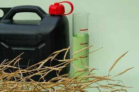 Biodiesel Stock Photos