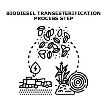 Biodiesel transesterification process step illustration Stock Illustration