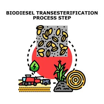 Biodiesel transesterification process step illustration Stock Illustration