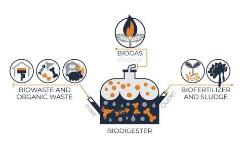BioDigester work system infographics Stock Illustration