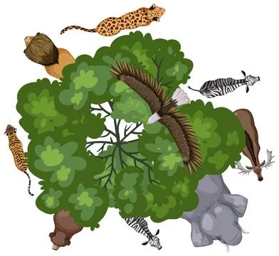 Biodiversity: Animals Around a Tree Stock Illustration