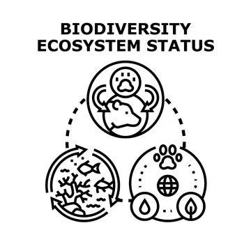 Biodiversity ecosystem status assessing environment nature sustainability Stock Illustration