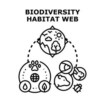 Biodiversity habitat web ecosystem conservation concept Illustrazione stock