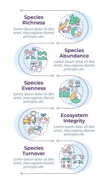 Biodiversity measurement infographic vertical sequence 库存插图