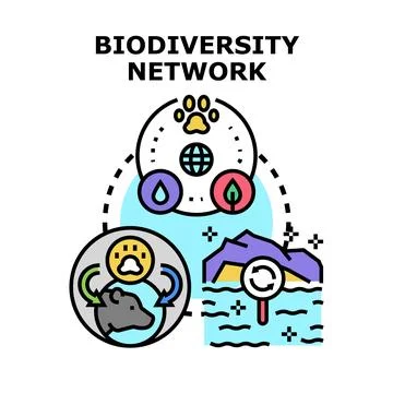Biodiversity network connecting ecosystems and environmental protection Stock Illustration