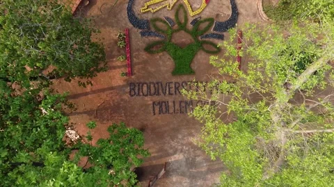 Biodiversity park Mollem Goa 2021 Drone shot | Exclusive aerial footage Stock Footage 152726257