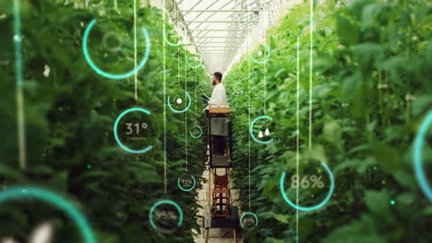 Bioengineer Expecting Crops In Vertical Farm Infographics Stock Footage 235890084