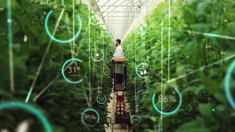 Bioengineer Expecting Crops In Vertical Farm Infographics Stock Footage 235890166