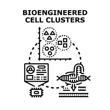 Bioengineered cell clusters concept for genetic research Stock Illustration
