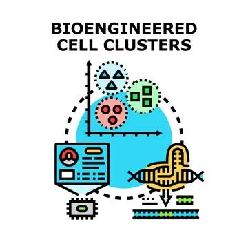 Bioengineered cell clusters concept for genetic research Stock Illustration
