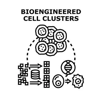 Bioengineered cell clusters forming cellular structures graphic Illustrazione stock