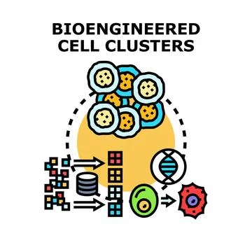 Bioengineered cell clusters forming cellular structures graphic Stock Illustration