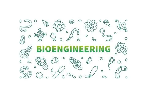 Bioengineering vector Science concept horizontal line banner - Bio Engineer.. Illustrazione stock