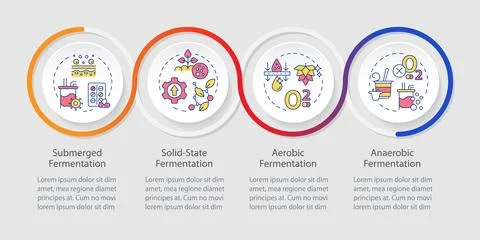 Biofermentation process types loop infographic template Stockillustratie