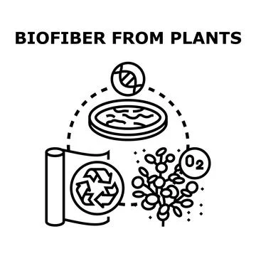 Biofiber from plants generating sustainable ecological material Stock Illustration