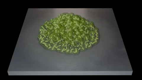 Biofilm formation on flat surface. 3d animation rendering. Video stock 321152043
