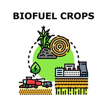 Biofuel crops manufacturing process creating renewable energy Stock Illustration