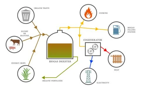 Biogas diagram Stock Illustration