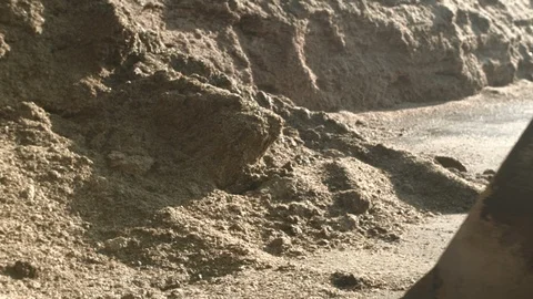 Biogas tractor close picking up corn Stock Footage 90080673