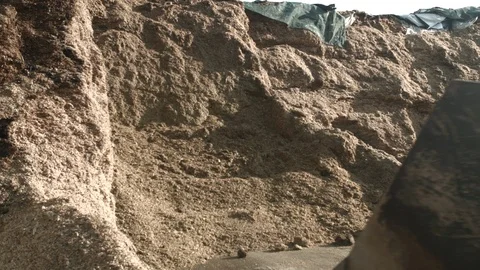 Biogas tractor close picking up corn 1 Stock Footage 90080719