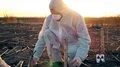 Biohazard scientist examining soil disease  4k or 4k+ Resolution