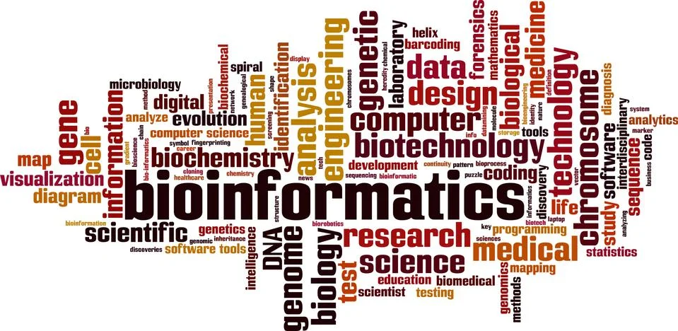 Bioinformatics word cloud 库存插图