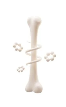 Biological anatomy of the skeleton and bone health, 3d rendering. Illustrazione stock