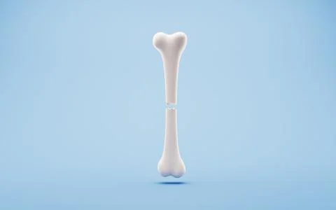 Biological anatomy of the skeleton and bone health, 3d rendering. Illustrazione stock