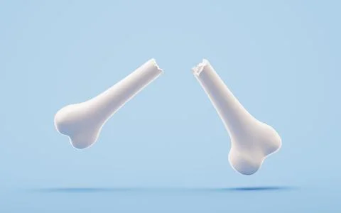 Biological anatomy of the skeleton and bone health, 3d rendering. Stock Illustration