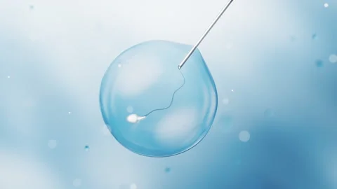 Biological cell with artificial fertilization concept, 3d rendering. Stock Footage 346735590