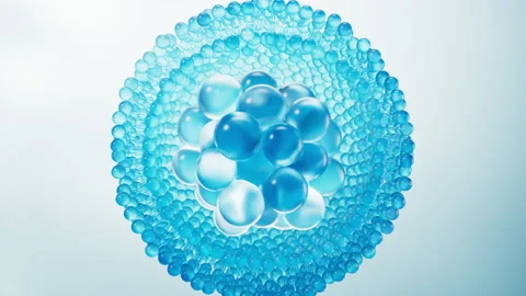 Biological cell with bilayer cell membrane, 3d rendering. Stock Footage 333439283