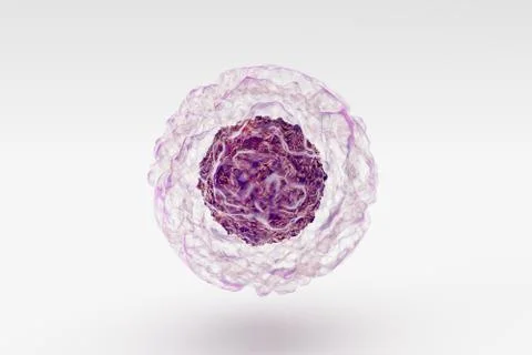 Biological cell isolated on whithe background microscope 스톡 일러스트