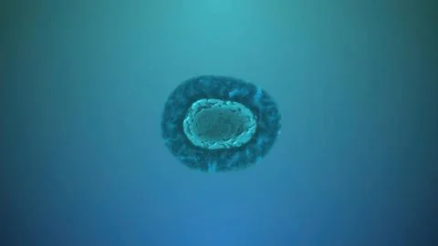 Biological cell nucleus structure floating in fluid Stock Illustration