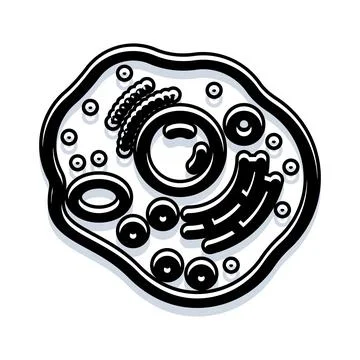 Biological cell structure model with organelles and nucleus Stock Illustration