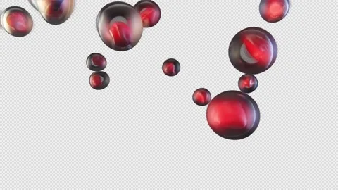 Biological Cells Stock Footage 203211411