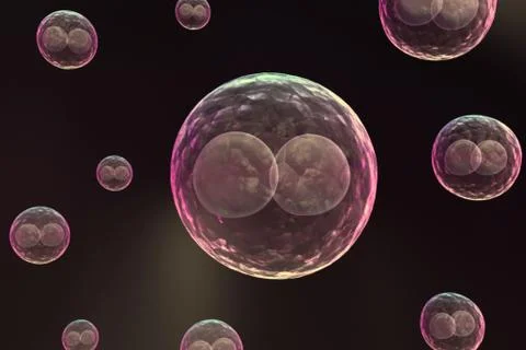 Biological cells Stock Illustration