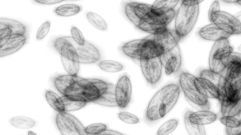 Biological contamination loop 3 in 1 Video stock 125496315