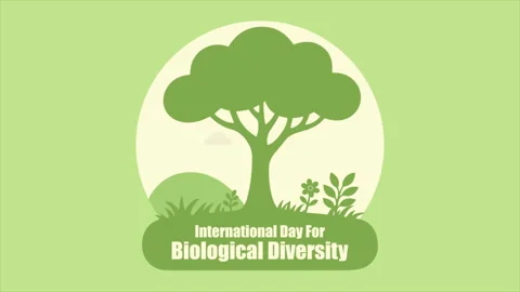 Biological diversity tree plant Stock Footage 335161516