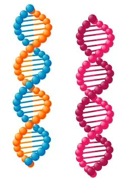 Biological dna elements Stock Illustration