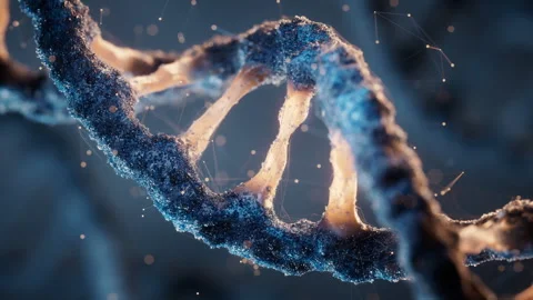 Biological DNA structure with bioengineering concept, 3d rendering. Stock Footage 303271161