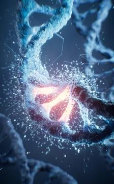 Biological DNA structure with bioengineering concept, 3d rendering. Stock Illustration