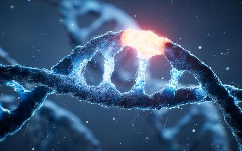Biological DNA structure with gene mutation concept, 3d rendering. 스톡 일러스트