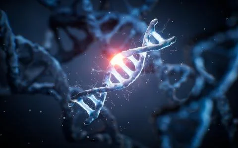 Biological DNA structure with gene mutation concept, 3d rendering. 스톡 일러스트