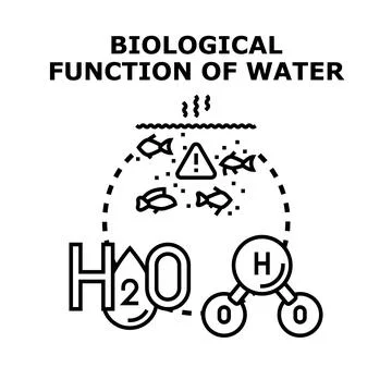 Biological function of water concept vector illustration Stock Illustration