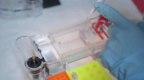 Biological lab experiment Stock Footage 1693886