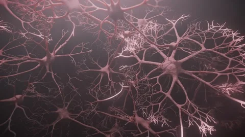 Biological neuron cells with synapses in human brain firing signals. Stock Footage 334995606