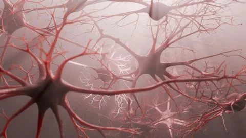Biological neuron cells with synapses in human brain firing signals. Stock Footage 334995863