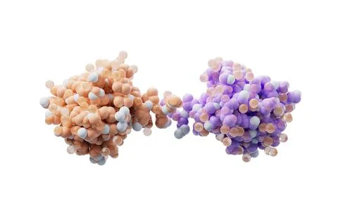 Biological organic protein structure, 3d rendering. 库存插图