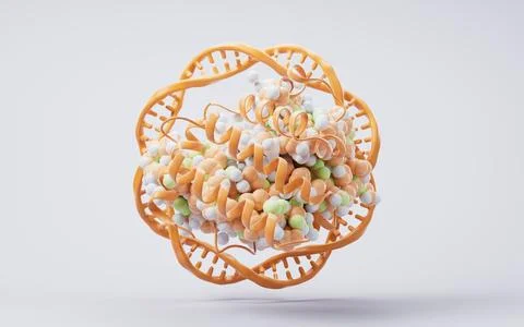 Biological organic protein structure, 3d rendering. 库存插图